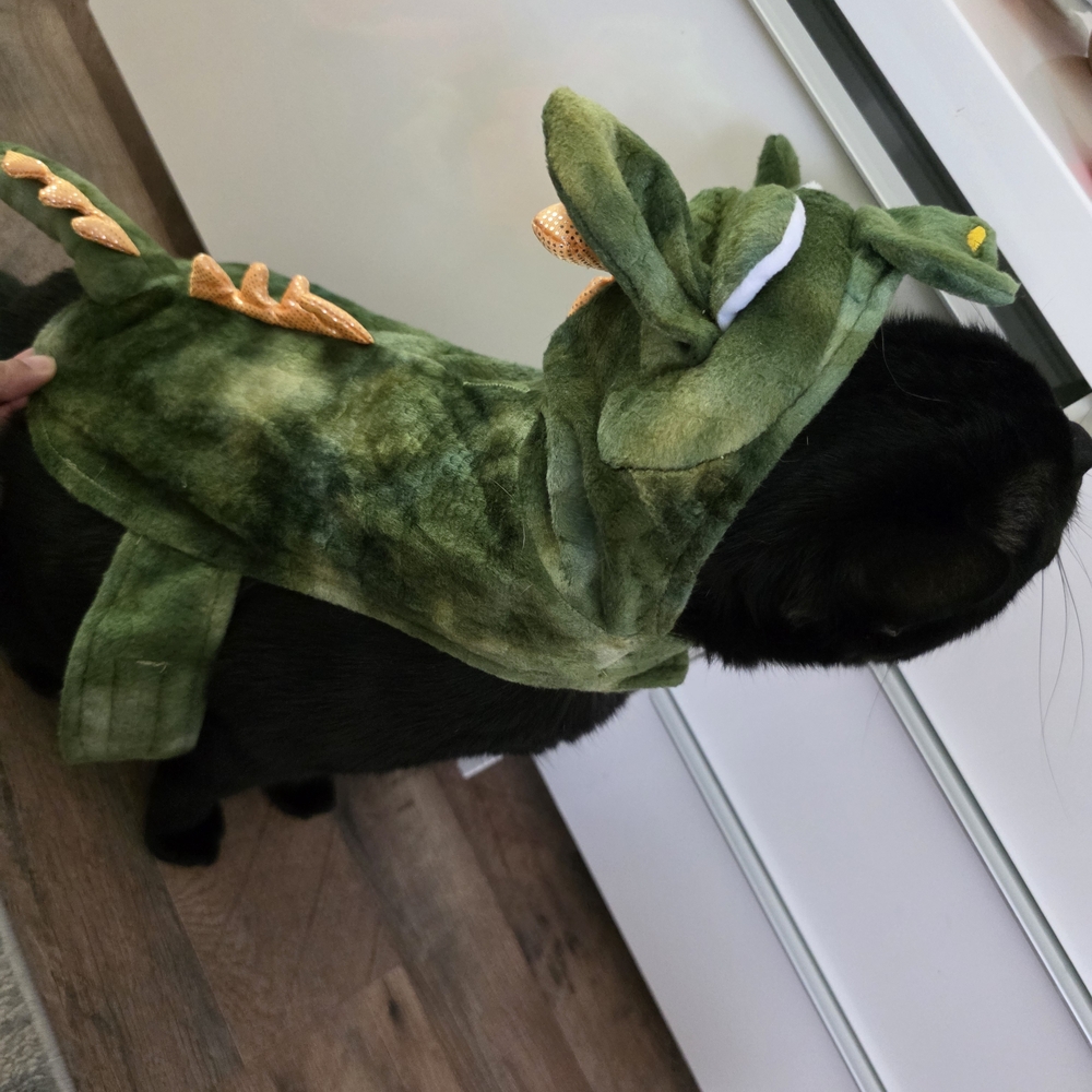 Green Dragon Reptile Costume for Pets